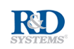 R&D SYSTEMS 產(chǎn)品目錄列表 2022年  有少量現(xiàn)貨 價格優(yōu)惠